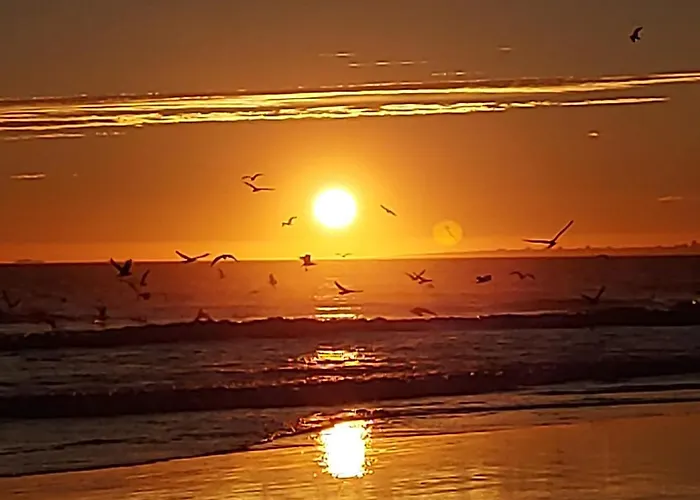 Al.cova Алмада